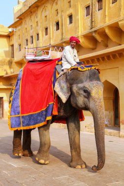Amber, Hindistan - 13 Kasım: Kimliği belirsiz sürmek YYK dekore edilmiş