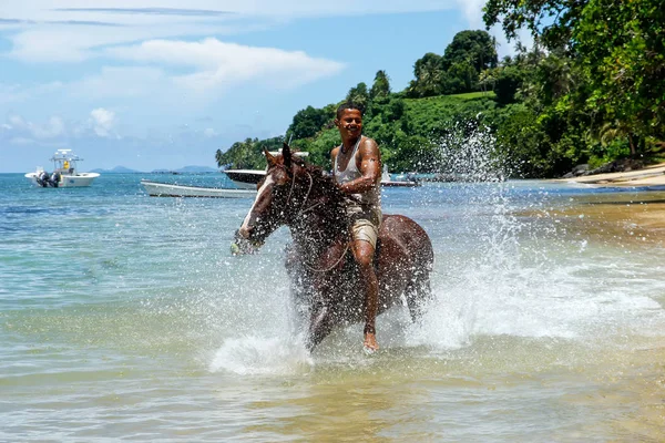 정체 불명된 남자에 말을 타는 Taveuni, 피지-11 월 23 일: — 스톡 사진