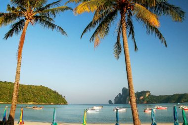 Ao Loh Dalum kumsalda Phi Phi Don Island, Krabi il, Thaila