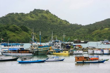 Labuan Bajo Flores Island, Nusa Tengg için şehir, demirli tekneler