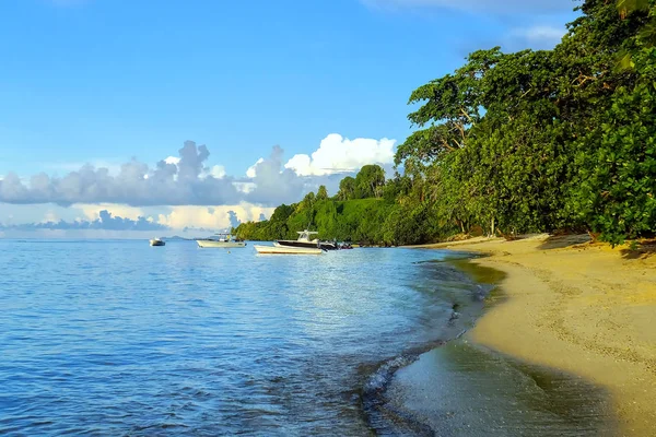 Піщаний пляж на острові Taveuni, Фіджі — стокове фото