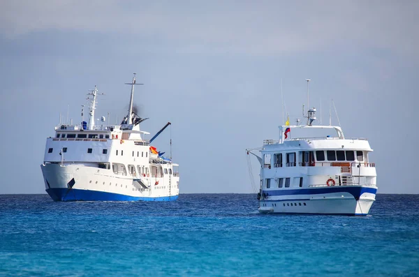 エスパノーラは近くガードナー湾に停泊している典型的な観光船 — ストック写真