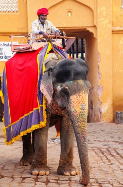 Amber, Hindistan - 13 Kasım: Kimliği belirsiz sürmek YYK dekore edilmiş