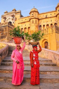 Amber, Hindistan - 13 Kasım: Kimliği belirsiz kadın yürüyüş bitkiler ile 