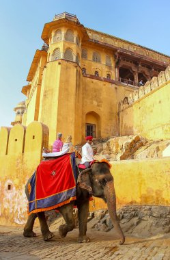 Amer, Hindistan - 13 Kasım: Kimliği belirsiz kişi binmek dekore edilmiş el