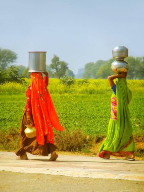 Agra, Uttar Pradesh, Hindistan yakınındaki kırsal kesimde başlarına su testileri taşıyan kadınların. İçme suyu ve sanitasyon Hindistan'da yetersiz olmaya devam.