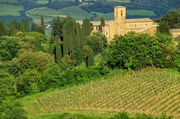 Vista Del Campo Una Casa Rural Cerca Montalcino Val Orcia —  Fotos de Stock