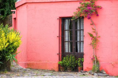 Renkli boyalı evi Colonia del Sacramento, Uruguay. Uruguay'nın en eski şehirlerinden biridir