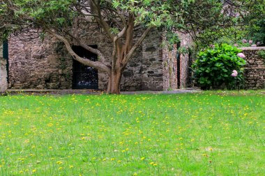 Quiet courtyard with dandelions in historic quarter of Colonia del Sacramento, Uruguay. It is one of the oldest towns in Uruguay clipart