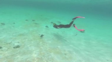 Santiago shore Adası Galapagos Milli Parkı, Ekvator yakınlarında dalış kadın