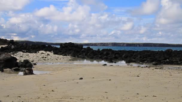 Sandstrand Der Großen Darwin Bucht Auf Der Insel Genua Galapagos — Stockvideo