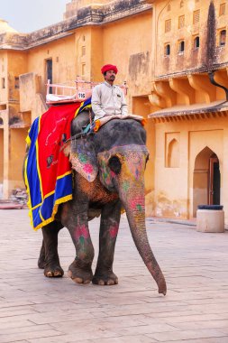 Amer, Hindistan - 13 Kasım: Kimliği belirsiz sürmek Amber Fort Jaleb Chowk fil üzerinde 13 Kasım 2014 Amber, Hindistan dekore edilmiştir. Fil sürmek popüler turistik Amber Fort içinde bulunmaktadır. 