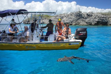 OUVEA, NEW CALEDONIA-JANUARY 8: Unidentified people watch grey shark from a boat near Gece Island on January 8, 2018 in  Ouvea lagoon, Loyalty Islands, New Caledonia.  The lagoon was listed as Unesco World Heritage site in 2008.
