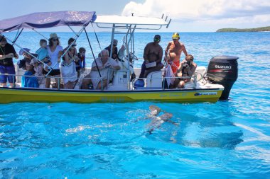 OUVEA, NEW CALEDONIA-JANUARY 8: Unidentified people watch grey sharks from a boat near Gece Island on January 8, 2018 in  Ouvea lagoon, Loyalty Islands, New Caledonia.  The lagoon was listed as Unesco World Heritage site in 2008.