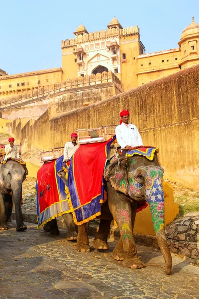 Amber India Noviembre Hombres Identificados Montan Elefantes Condecorados Amber Fort — Foto de Stock