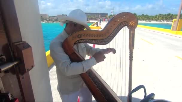 コスタマヤ メキシコ2月9日 確認されていない男が 2020年2月9日にメキシコのコスタマヤのマホアル村でクルーズ船ターミナル桟橋でハープを演奏します マニュアルは現在急速に発展している観光センターです — ストック動画