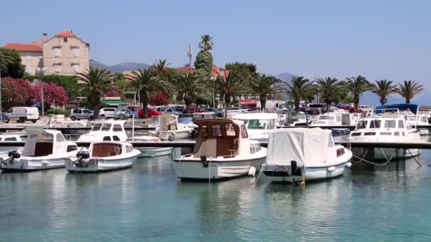 Cidade Orebic Marina Península Peljesac Croácia Foi Nomeado Após Família — Vídeo de Stock