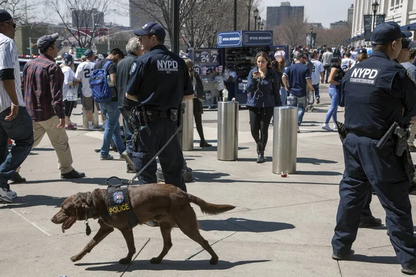 Несколько офицеров контртеррористического бюро полиции Нью-Йорка во время открытия — стоковое фото