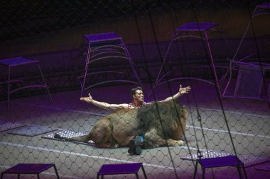 Ringling Bros-show sırasında aslan ile Alexander Lacey gerçekleştirir 