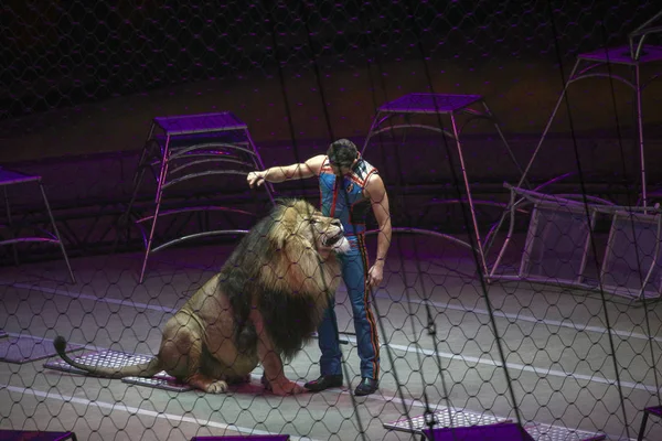 Alexander Lacey wykonuje się z lwem podczas Ringling Bros show w Obrazy Stockowe bez tantiem