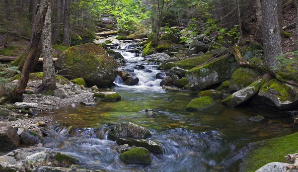 River Sream Mount Washinton oblast Ammonoosuc rokle stezkou — Stock fotografie