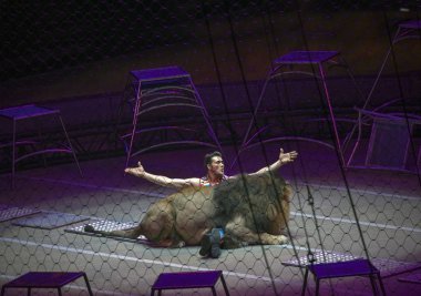 Ringling Bros-show sırasında aslan ile Alexander Lacey gerçekleştirir 