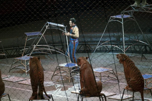 Alexander Lacey joue avec des animaux pendant le spectacle de Ringling Bros — Photo