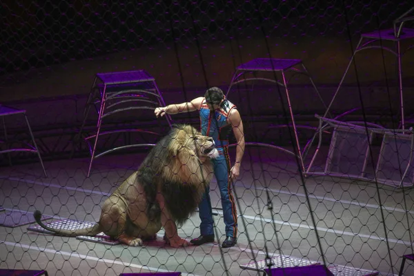 アレクサンドル ・ レイシーは Ringling Bros ショーの間にライオンと実行します。 — ストック写真