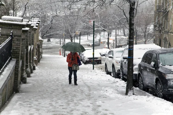 Kobieta trzyma parasol podczas upadku śniegu chodząc Bronx, Nowy Jork — Zdjęcie stockowe