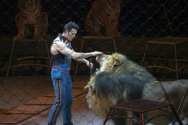 Alexander Lacey aslanlarla Ringling Bros gösterisi sırasında yapar.