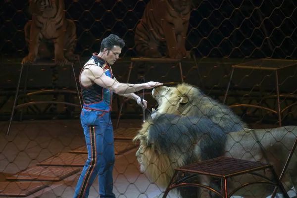 Alexander Lacey aslanlarla Ringling Bros gösterisi sırasında yapar.