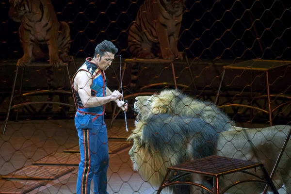 Alexander Lacey joue avec des lions pendant le spectacle de Ringling Bros — Photo