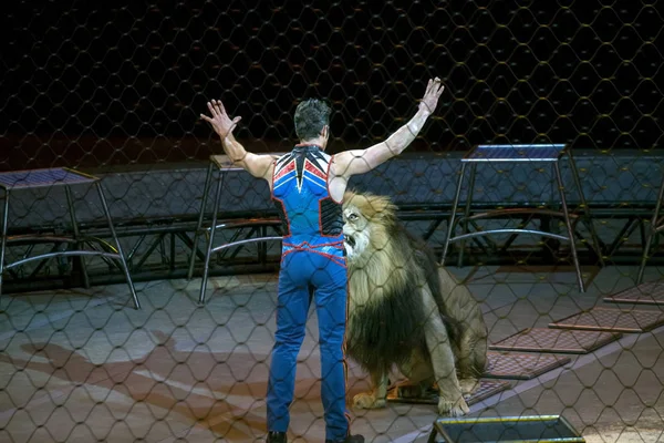 アレクサンドル ・ レイシーはリングリング ・ ブラザーズのショーの間にライオンと実行します。 — ストック写真