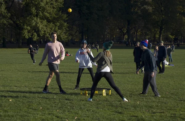 Bir grup arkadaş Central Park 'ta Spikeball oynuyor.