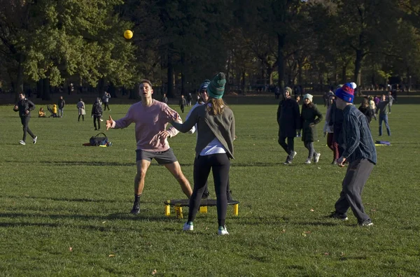 Bir grup arkadaş Central Park 'ta Spikeball oynuyor.