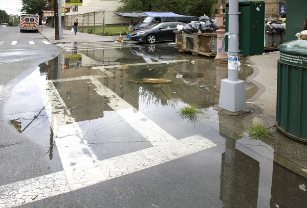 Esgoto entupido causando inundação na esquina da rua Bronx NY — Fotografia de Stock
