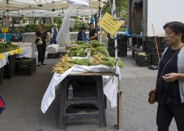 Bronx New York Usa Maja 2018 Stolik Sprzedawców Żywności Ekologicznej — Zdjęcie stockowe