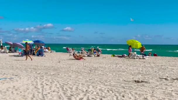 Miami Usa Listopad 2019 Slunečné Ostrovy Krásná Veřejná Pláž Turisté — Stock video