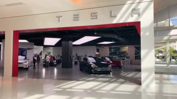 Miami Usa December 2019 Tesla Electric Vehicle Showroom Aventura Shopping — стокове відео