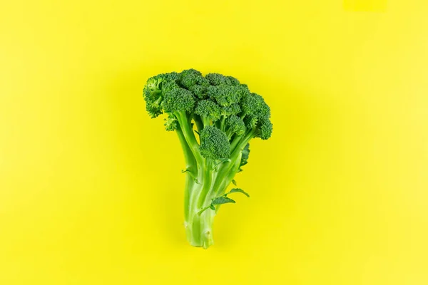 Broccoli crudi su fondo giallo. Pianta verde commestibile. Copia spazio per testo . Fotografia Stock