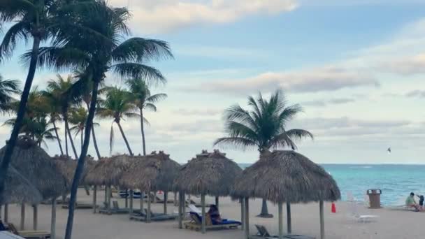 Vista de Sandy Beach con cabañas Tiki. Personas disfrutando de la playa en Miami, Estados Unidos . — Vídeos de Stock