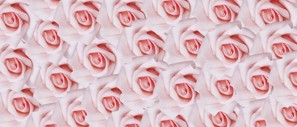 Roses pattern pink color. Background flowers summer concept. Sale pink.