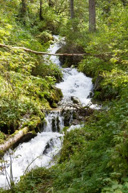Kazakistan dağlarında güzel creek
