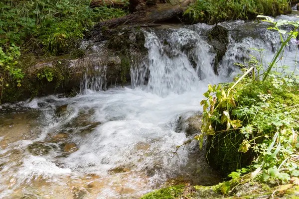 The creek with a small waterfall — Stock Photo, Image