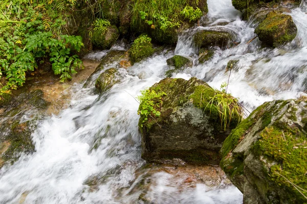 Torrente di montagna con pietra — Foto Stock