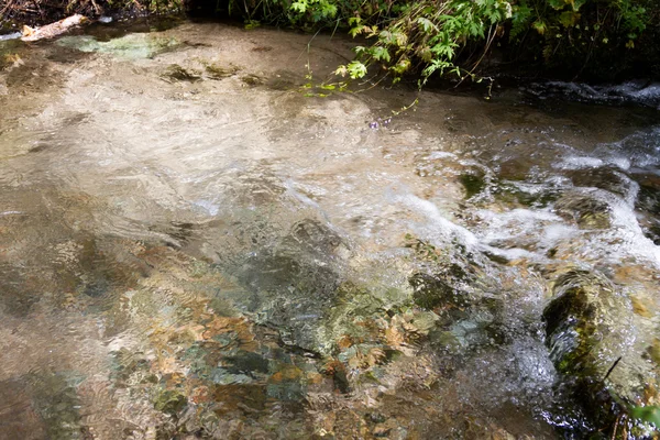 Klares Wasser in einem Gebirgsbach — Stockfoto