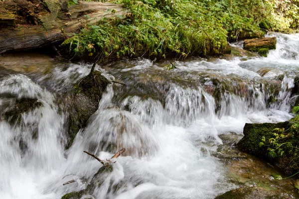 güzel eşik ile dere