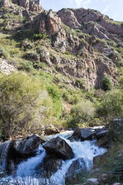 bir eşik ile dağ nehri