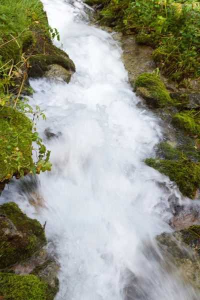 Flujo rápido en el arroyo — Foto de Stock