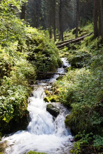 Arroyo con una pequeña cascada — Foto de Stock